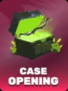 cases