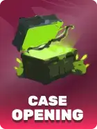 cases
